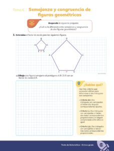 Libro MATEMÁTICA – Educación General Básica – Subnivel Superior – Octavo de Básica – Pág 116 – Resuelto pdf