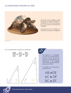Libro MATEMÁTICA – Educación General Básica – Subnivel Superior – Octavo de Básica – Pág 33 – Resumido pdf