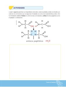 Libro Química – Bachillerato General – 1 (Primero de Bachillerato) – Pág 194 – Resumido pdf
